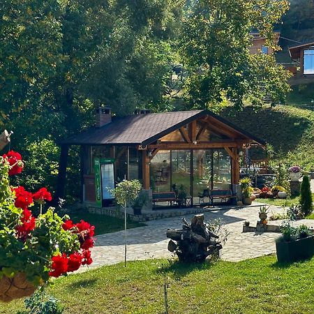 Mon Resort By Ana1St Scarisoara  Exterior foto