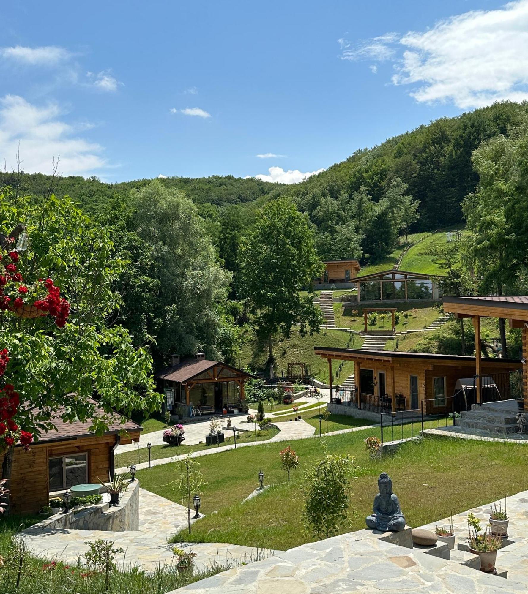 Mon Resort By Ana1St Scarisoara  Exterior foto